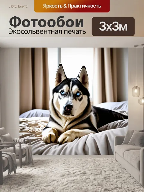 Фотообои Сибирский хаски с выразительными голубыми глазами