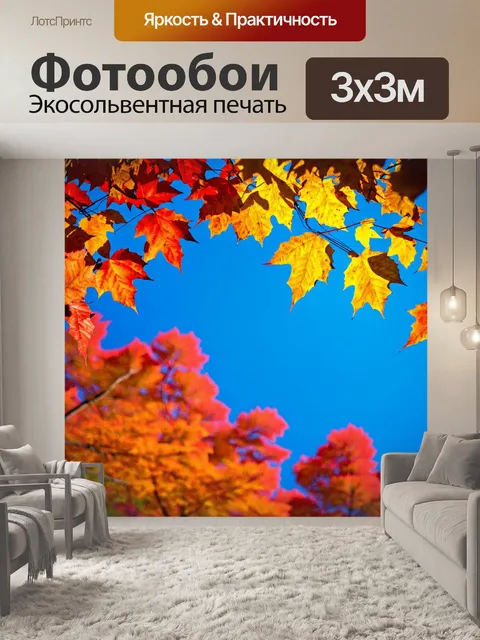 Фотообои ярко окрашенные листья на фоне голубого неба