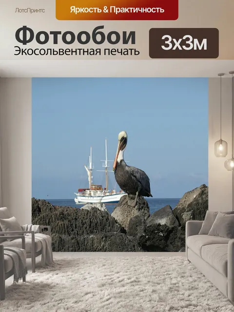 Фотообои Пеликан