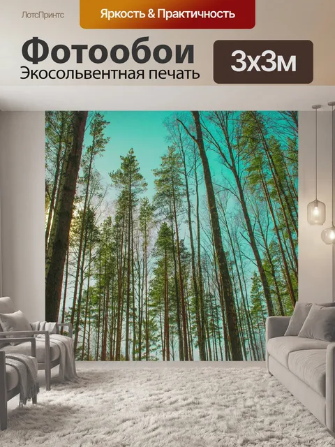Фотообои Хвойный лес