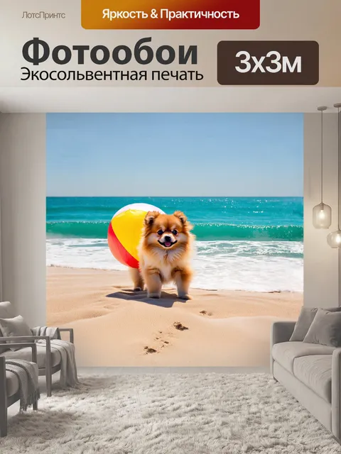 Фотообои на фоне лазурного океана, щенок померанского шпица, с его пушистым хвостиком, играется с ярким пляжным мячом