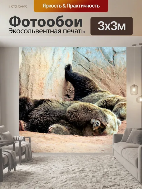 Фотообои Два ленивых медведя