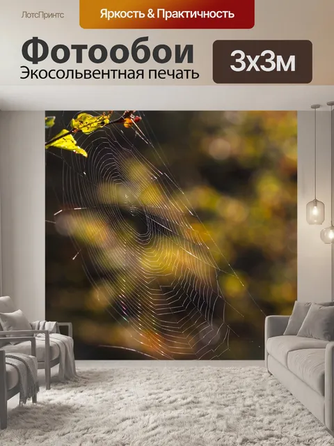 Фотообои Паутина