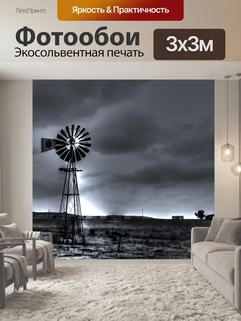 Фотообои Черно-белый пейзаж