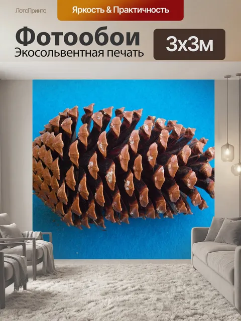 Фотообои Шишки морской сосны