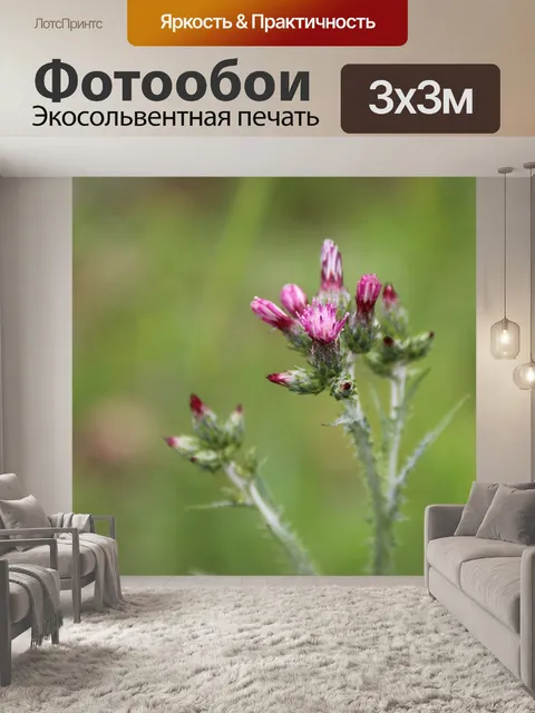 Фотообои Розовый