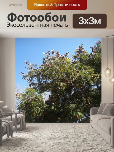 Фотообои сухие листья на высоких ветвях дерева