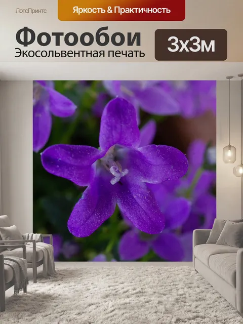 Фотообои Фиолетовый