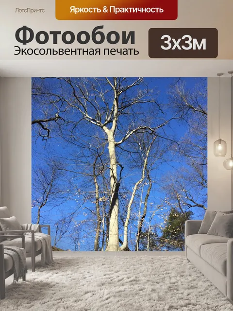 Фотообои Природа