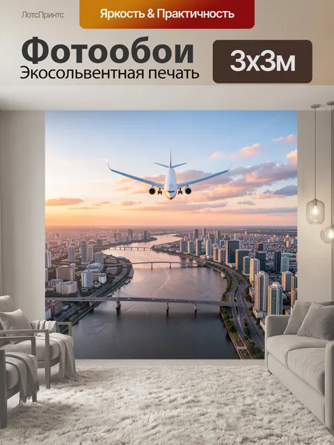 Фотообои Пассажирский самолет над мегаполисом