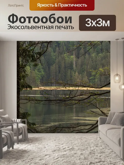 Фотообои Лес