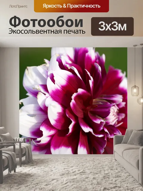 Фотообои Цветок