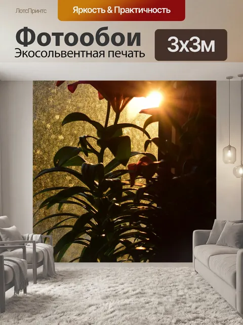Фотообои Window