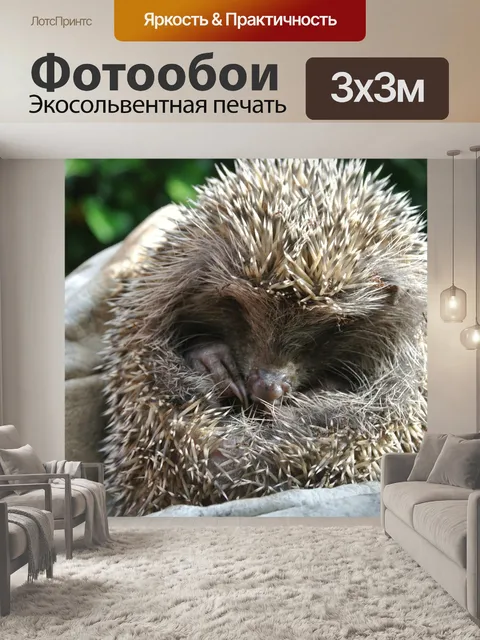 Фотообои Природа