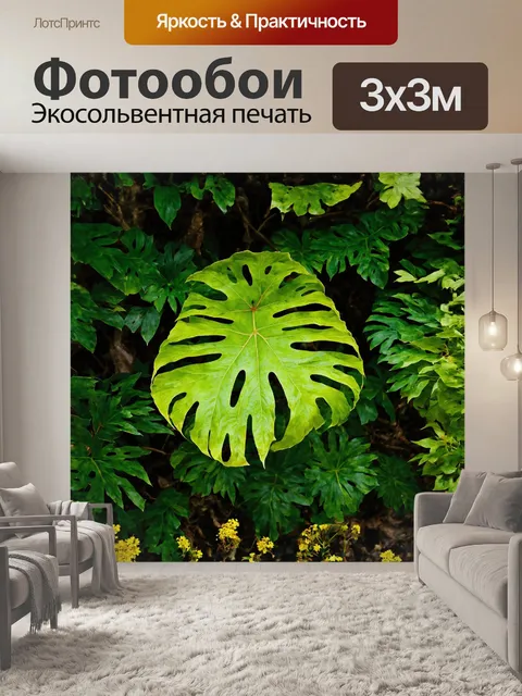 Фотообои яркие листья экзотических растений крупным планом