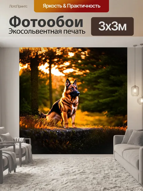 Фотообои вечер