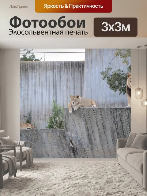 Фотообои Львы
