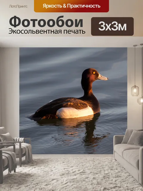 Фотообои Желтые глаза