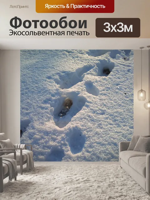 Фотообои След