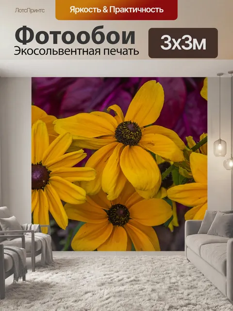 Фотообои черноглазая сьюзен подсолнухи