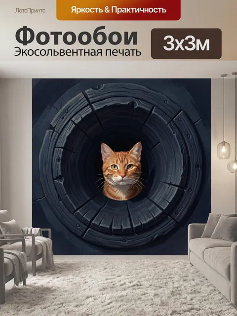 Фотообои Рыжий кот в темном люке