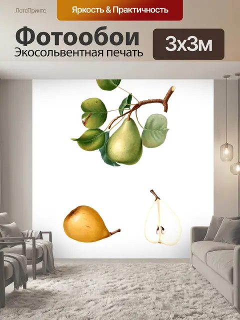 Фотообои груши фрукты винтажное искусство