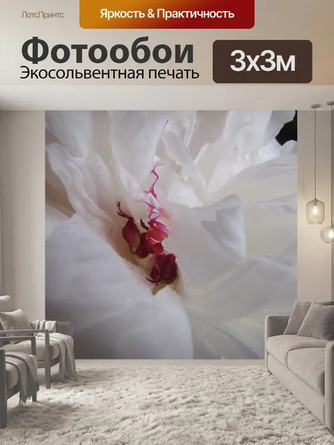 Фотообои Белый пион