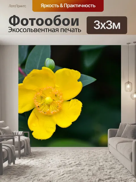 Фотообои Сад