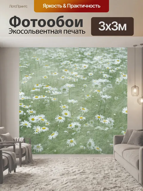 Фотообои Шаста дейзи
