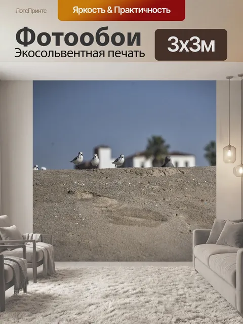 Фотообои Три песка Сандерлинга на пляже