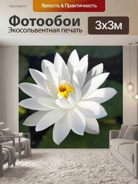 Фотообои Кувшинка белая