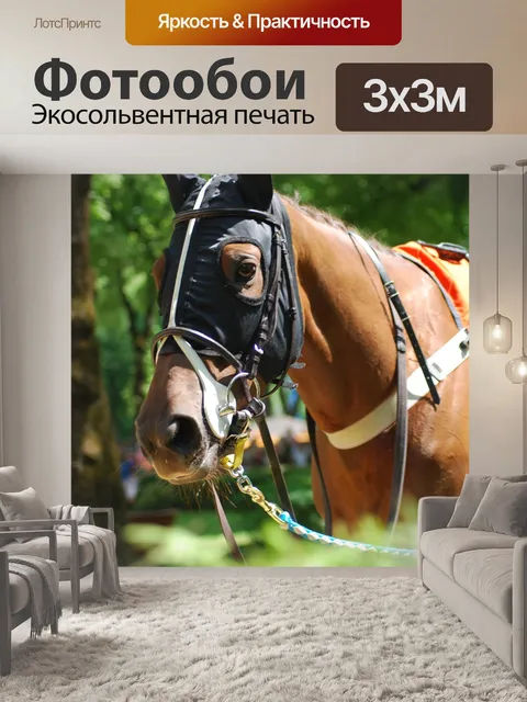 Фотообои Запустить
