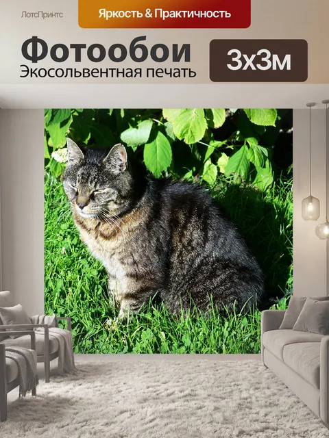 Фотообои Коричнево-серая кошка