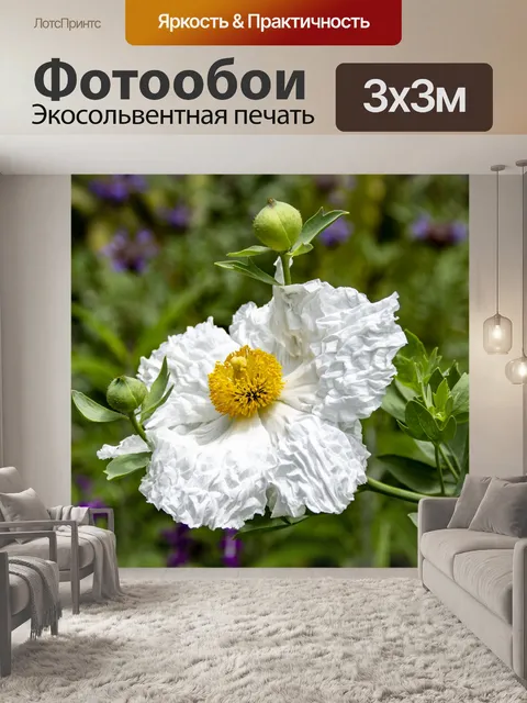 Фотообои Мак Матилия