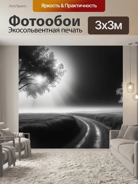 Фотообои пейзаж с приколом чернобелый
