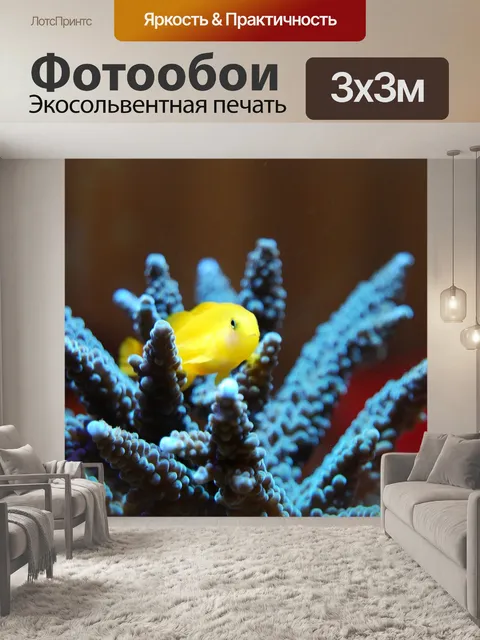 Фотообои Коралл