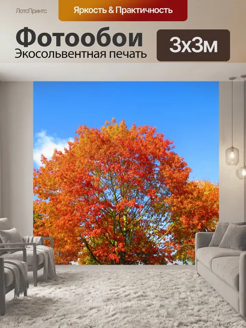 Фотообои Осенняя окраска листвы