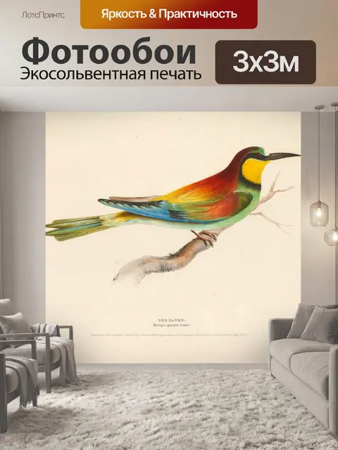 Фотообои Пчелоед Птица Винтажное Искусство