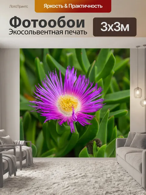 Фотообои Цветок