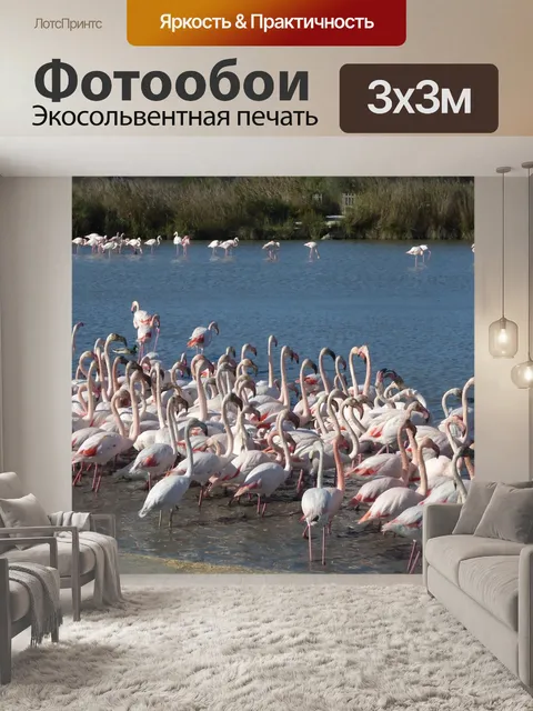 Фотообои Розовые фламинго