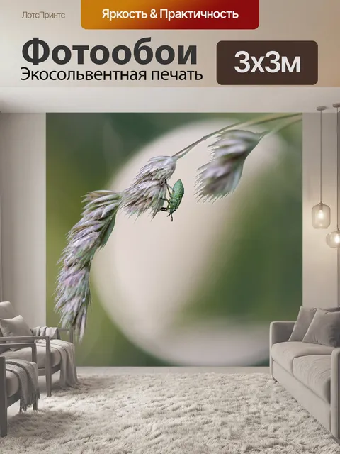 Фотообои Зеленый вонючий жук