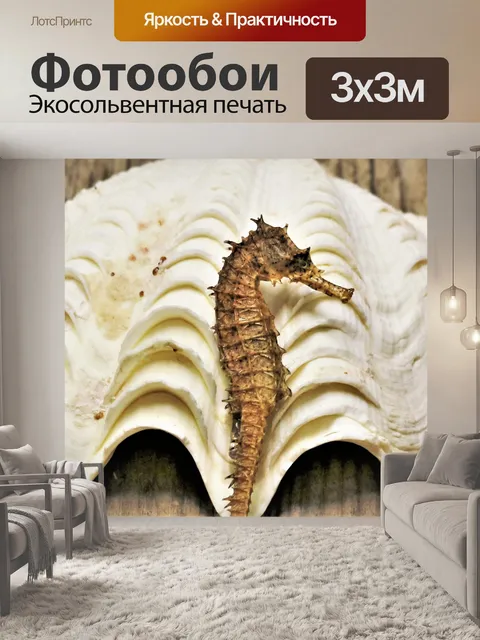 Фотообои Морской конек и ракушка крупным планом