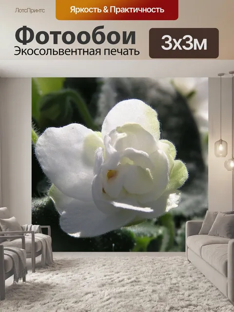Фотообои Цветок