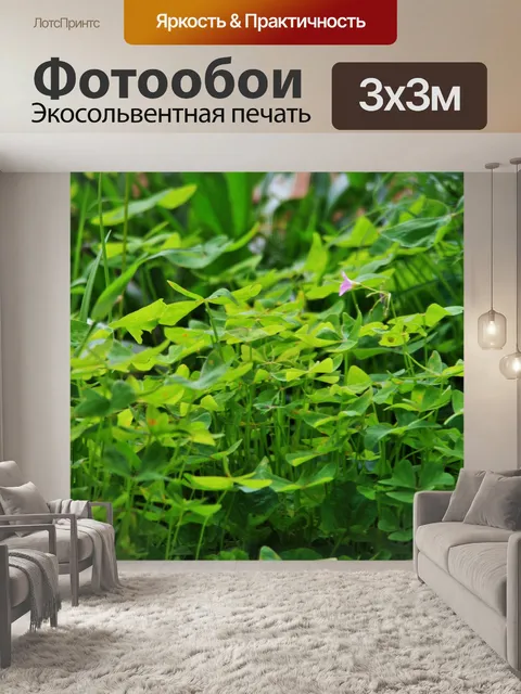 Фотообои ярко-зеленый Кислица