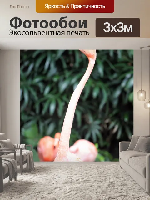 Фотообои Flamingo возглавить с длинной шеей