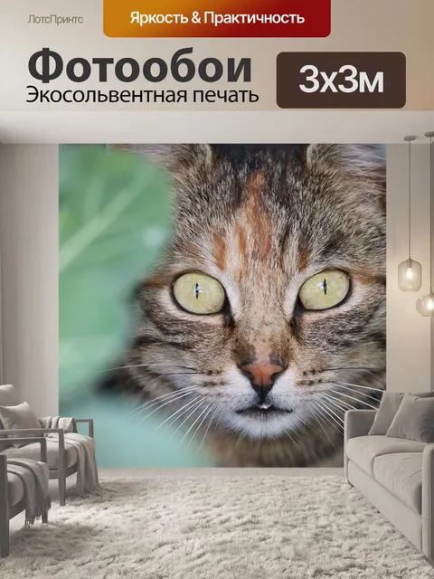 Фотообои Кошка