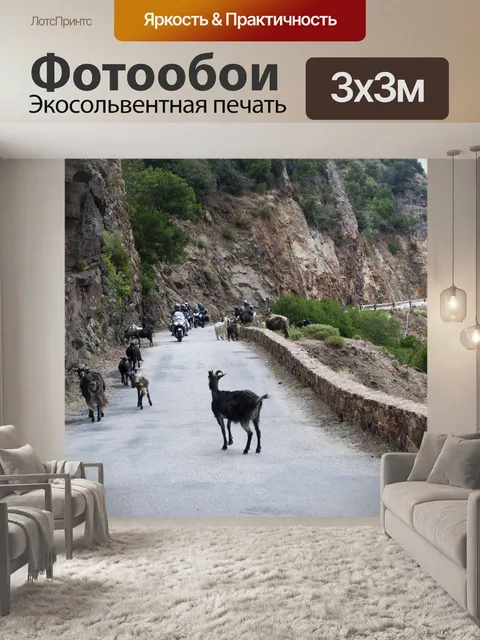 Фотообои Пейзаж, горная дорога, козы
