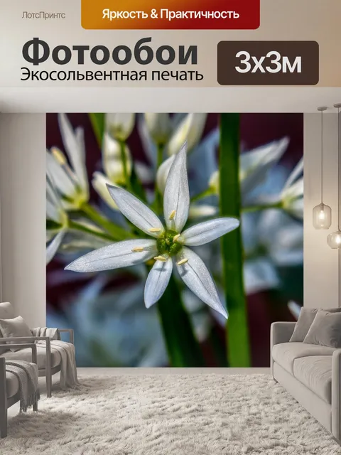 Фотообои Дикий чеснок