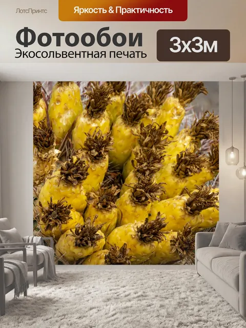 Фотообои Бочка кактус цветет
