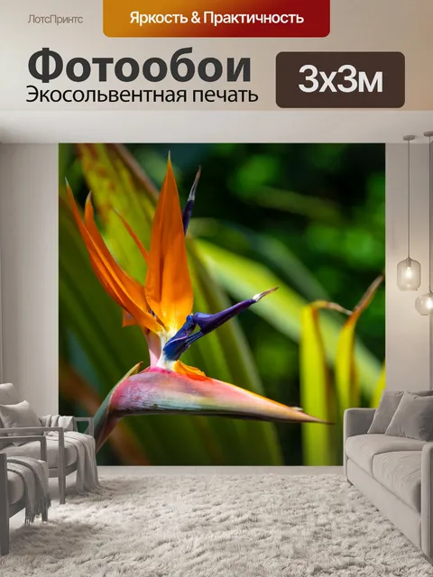 Фотообои Райская птица
